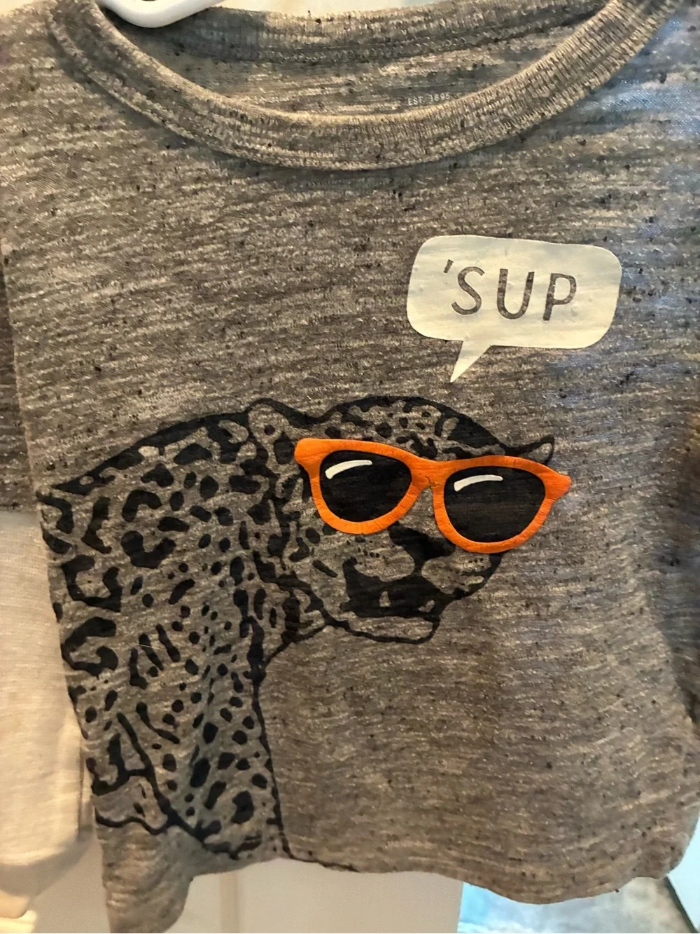 OshKosh B'gosh Gray Leopard Graphic Long Sleeve Top with Orange Sunglasses
